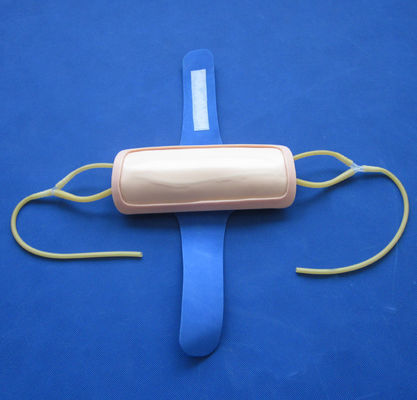 Pad de entrenamiento avanzado para la venenctura del antebrazo de PVC IV Pad de inyección para la ciencia médica