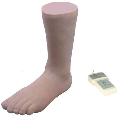 Modelo de entrenamiento de inyección realista de simulación humana de maniquí de tobillo con caja de control