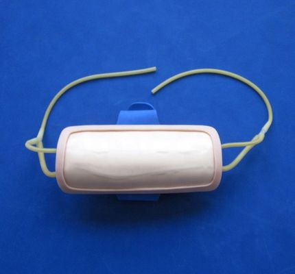 Pad de entrenamiento avanzado para la venenctura del antebrazo de PVC IV Pad de inyección para la ciencia médica