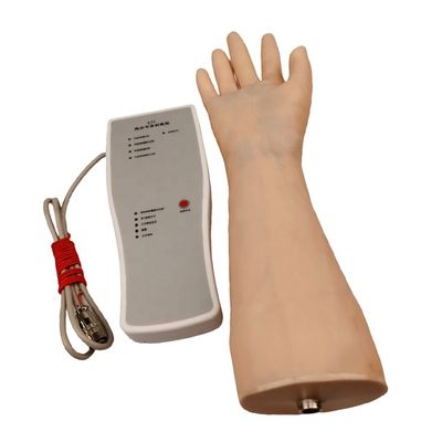 Mejora tus habilidades clínicas demostración con el modelo de punción de la muñeca electrónica