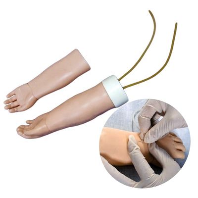 Ciencias Médicas Subjecto Venipunctura portátil modelo de entrenamiento de brazo con piel reemplazable