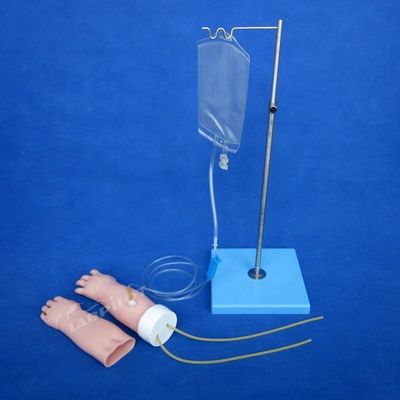 Ciencias Médicas Subjecto Venipunctura portátil modelo de entrenamiento de brazo con piel reemplazable