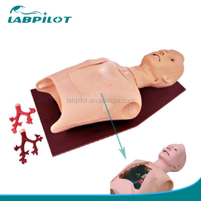 Entrenamiento de atención al paciente Broncoscopia médica y simulador de intubación con alarmas