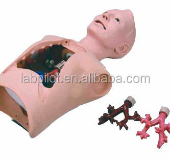 Entrenamiento de atención al paciente Broncoscopia médica y simulador de intubación con alarmas