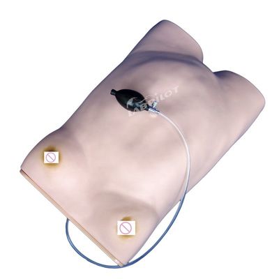 Maniquí de cuidado de maternidad de PVC avanzado esencial para el entrenamiento de palpación de la maternidad