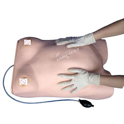 Muñeco de palpación electrónica de maternidad con función de auscultación ginecológica