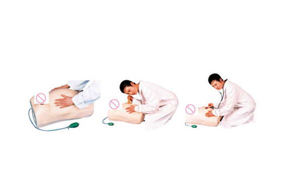 Maniquí de cuidado de maternidad de PVC avanzado esencial para el entrenamiento de palpación de la maternidad
