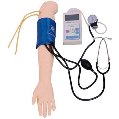 Medición de la presión arterial Entrenamiento del brazo Modelo Categorías maniquí educativo