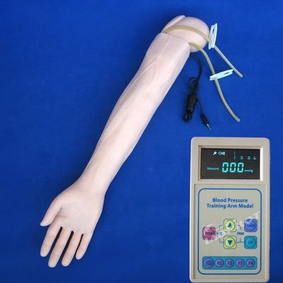 Medición de la presión arterial Entrenamiento del brazo Modelo Categorías maniquí educativo