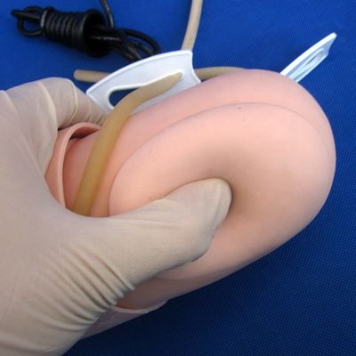 Medición de la presión arterial Entrenamiento del brazo Modelo Categorías maniquí educativo
