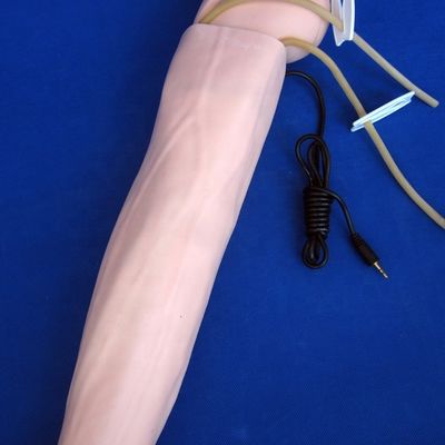 Medición de la presión arterial Entrenamiento del brazo Modelo Categorías maniquí educativo