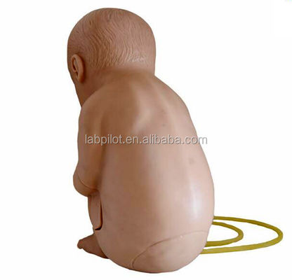 Maniquí de tamaño humano para la práctica de entrenamiento de punción vertebral espinal pediátrica