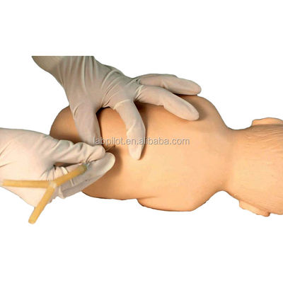 Maniquí de tamaño humano para la práctica de entrenamiento de punción vertebral espinal pediátrica