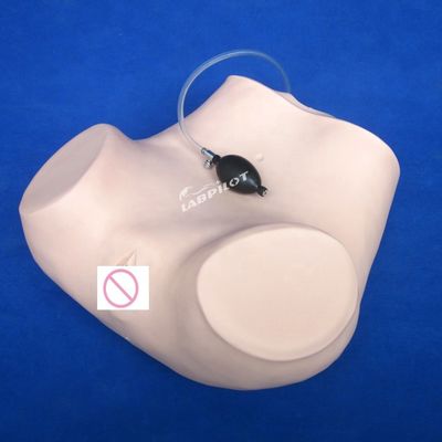 Contracepción Examen pélvico del útero Entrenamiento maniquí Ginecología médica Modelo de atención