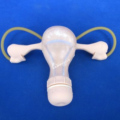 Contracepción Examen pélvico del útero Entrenamiento maniquí Ginecología médica Modelo de atención