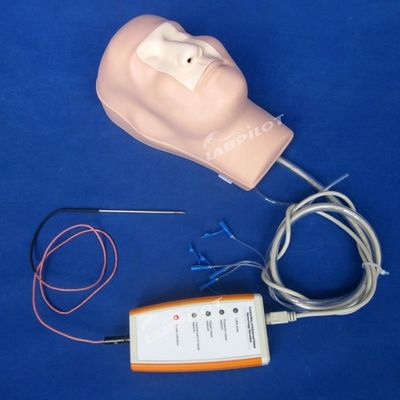 Cauterización de la hemostasis nasal y entrenamiento de embalaje maniquí para función modelo médico