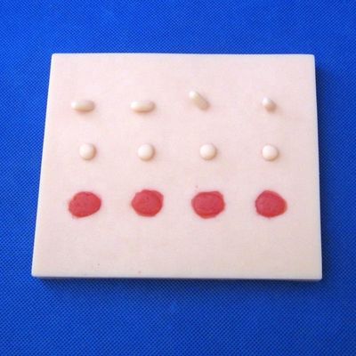 Kit de formación clínica profesional para ciencias médicas Cirugía secundaria multifuncional