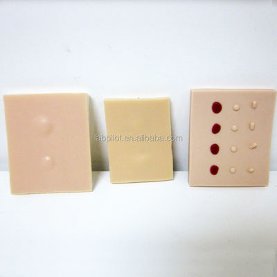Kit de formación clínica profesional para ciencias médicas Cirugía secundaria multifuncional