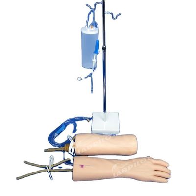 Modelo de entrenamiento de perfusión IV de piel blanda Mano y codo Brazo de entrenamiento de transfusión intravenosa
