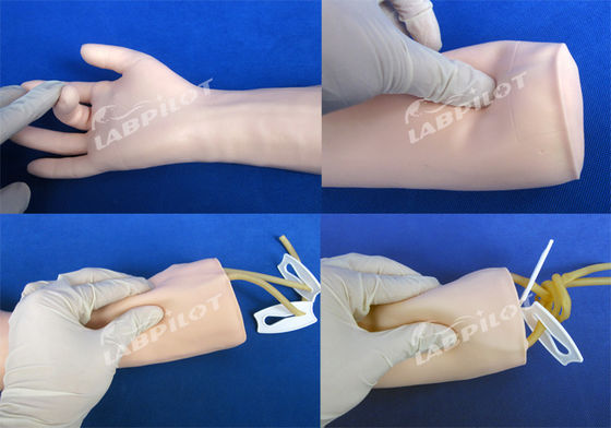 Modelo de entrenamiento de perfusión IV de piel blanda Mano y codo Brazo de entrenamiento de transfusión intravenosa