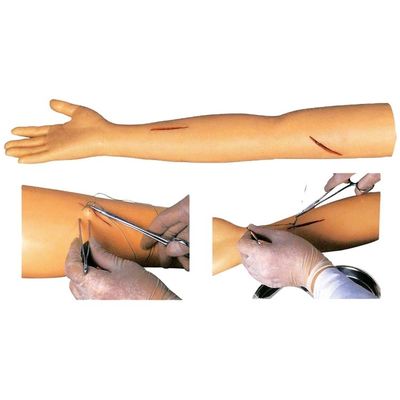 Maniquí para la práctica avanzada de sutura Cirugía de sutura de entrenamiento del brazo modelo