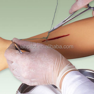 Maniquí para la práctica avanzada de sutura Cirugía de sutura de entrenamiento del brazo modelo