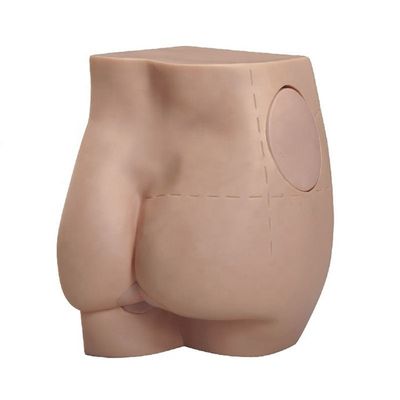 Modelo de inyección intramuscular con brazo realista