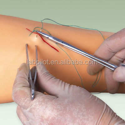 Maniquí para la práctica avanzada de sutura Cirugía de sutura de entrenamiento del brazo modelo