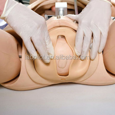Sistema avanzado de formación en obstetricia de PVC para cuidados de emergencia y enfermería en el parto