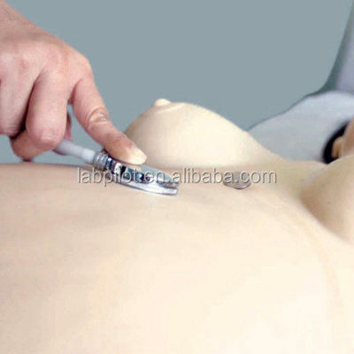 Sistema avanzado de formación en obstetricia de PVC para cuidados de emergencia y enfermería en el parto