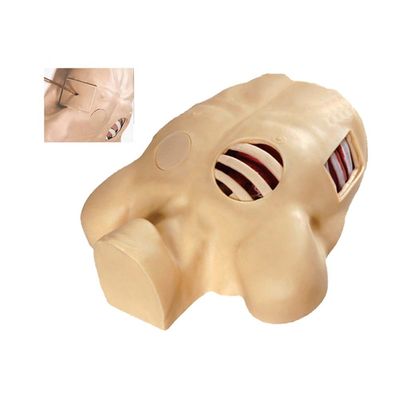 Maniquí avanzado de descompresión de neumotórax de PVC para simulación artificial de hidrotórax