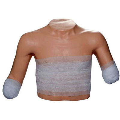 Ciencias Médicas Capacitación para el cuidado de pacientes Amputación del torso de las extremidades superiores Modelo de capacitación de vendaje y vendaje