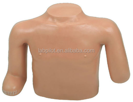 Ciencias Médicas Capacitación para el cuidado de pacientes Amputación del torso de las extremidades superiores Modelo de capacitación de vendaje y vendaje