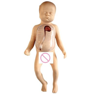 Maniquí de lactancia para bebés de tamaño humano con cuidado neonatal modelo PICC