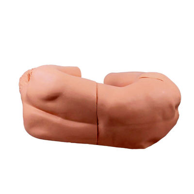 Maniquí de enfermería de adultos vivido Modelo innovador para la capacitación clínica en punción lumbar
