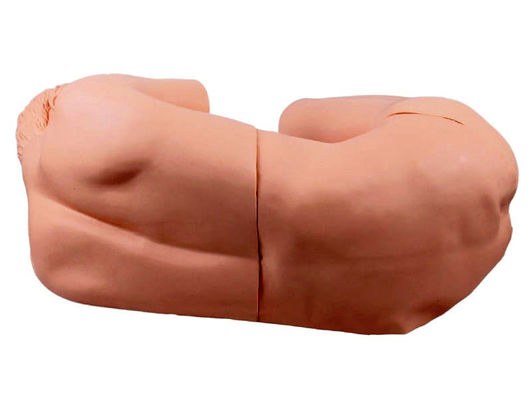 Maniquí de enfermería de adultos vivido Modelo innovador para la capacitación clínica en punción lumbar