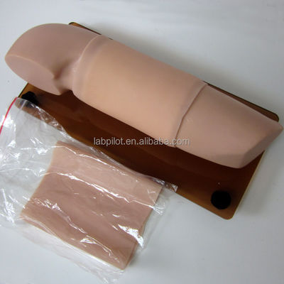 Maniquí para habilidades obstétricas y ginecológicas Modelo de anticoncepción de enseñanza Modelo de brazo