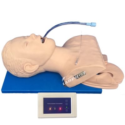 Enseñanza de habilidades de emergencia Intubation Training Simulator con monitor electrónico
