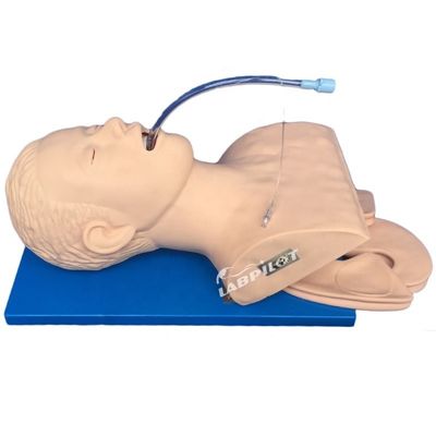 Enseñanza de habilidades de emergencia Intubation Training Simulator con monitor electrónico