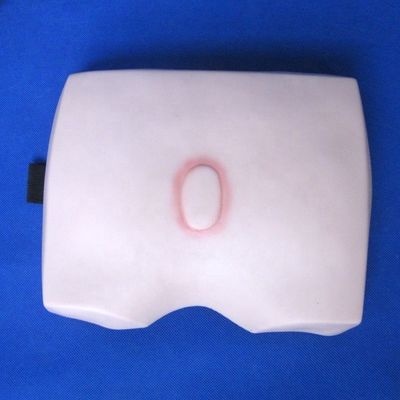 Modelos de formación en enfermería clínica Etapas del decúbito úlcera Atención de enfermería para hospitales