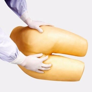 Modelo de entrenamiento de defecación asistida y cuidado de enemas ideal para la educación en ciencias médicas
