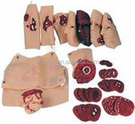 Modelo de capacitación en habilidades de emergencia Modelo avanzado de evaluación de trauma por quemadura facial de PVC