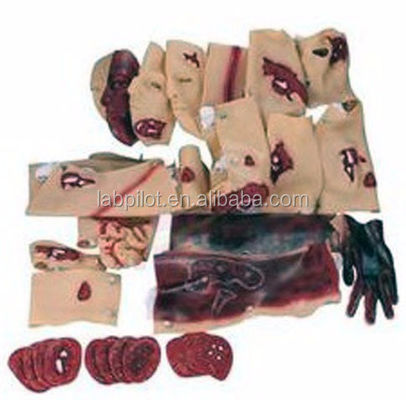 Modelo de capacitación en habilidades de emergencia Modelo avanzado de evaluación de trauma por quemadura facial de PVC