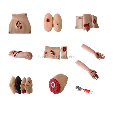 Modelo de capacitación en habilidades de emergencia Modelo avanzado de evaluación de trauma por quemadura facial de PVC