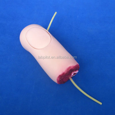 Modelo avanzado de PVC de hemorragia por traumatismo de extremidad superior y brazo amputado para la ciencia médica