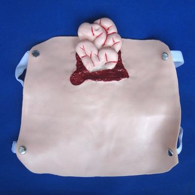Modelos avanzados de traumas de PVC para la capacitación en enfermería de heridas y demostración de atención al paciente