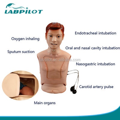 Maniquí de enfermería de medio cuerpo para la alimentación nasogástrica y ayuda de entrenamiento para la intubación de la tráquea