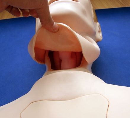 Maniquí de enfermería de medio cuerpo para la alimentación nasogástrica y ayuda de entrenamiento para la intubación de la tráquea