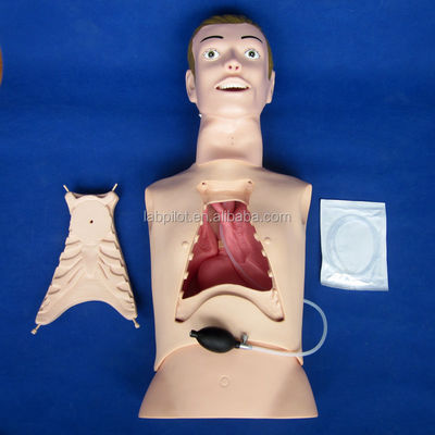 Maniquí de enfermería de medio cuerpo para la alimentación nasogástrica y ayuda de entrenamiento para la intubación de la tráquea