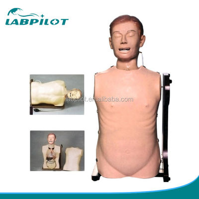 Muñeco de alimentación nasal de tamaño humano para el cuidado de las vías respiratorias y la práctica gastrointestinal